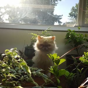 Meet your Posher, Matthew